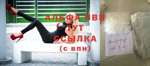 прущие грибы Бугульма