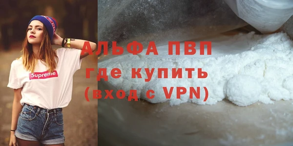 прущие грибы Бугульма