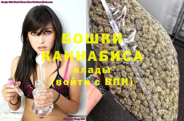 шишки Бронницы